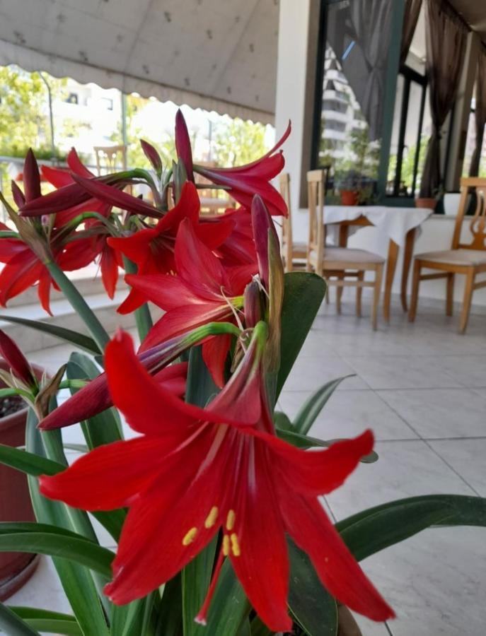 Hotel Rossi Vlorë エクステリア 写真